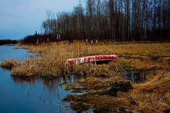 Canoe in marsh
